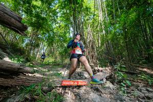 BIB: 
                            <button type="button" onclick="openModal(19393020)" class="btn btn-primary btn-sm float-right btn-popup" data-toggle="modal" data-target=".modal-high-quality">
                        <i class="fas fa-shopping-cart"></i> Add to Cart
                    </button>
                                            <button type="button" onclick="isThisMe(19393020, true)" class="btn btn-success btn-sm float-right btn-popup btn-isme hidden" data-toggle="tooltip" data-placement="bottom" title="นี่คือรูปของคุณใช่ไหม คลิกที่นี่เพื่อเอาเข้าอัลบั้ม">
                        <i class="fas fa-plus"></i> Add to album
                    </button>
                    <button type="button" onclick="isThisMe(19393020, false)" class="btn btn-warning btn-sm float-right btn-popup btn-isnotme hidden">
                        <i class="fas fa-ban"></i> Remove from album
                    </button>